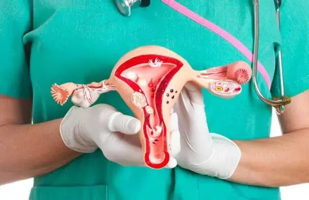 ebnesina ovarian cancer