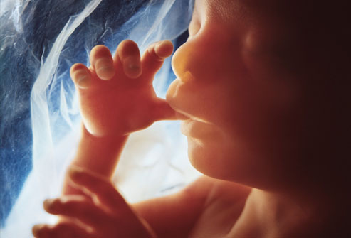 ebnesina hospital fetal development 7
