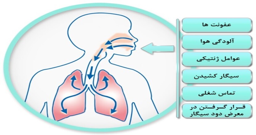 ebnesinahospital COPD